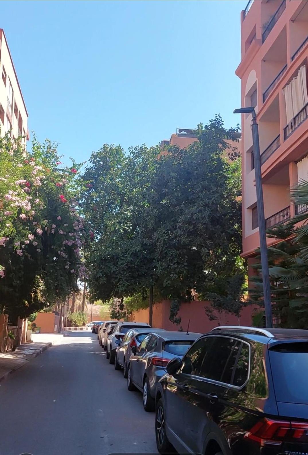 Marrakesh Home Экстерьер фото